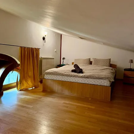 Macca-villacrosse بوخارست